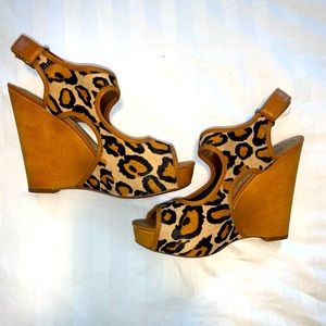 Worn Once Sam Edelman Leopard Kendall Platform Wedge Sandal 6.5